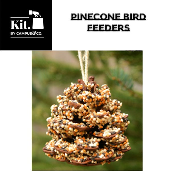 PineCone Bird Feeder Making Kit