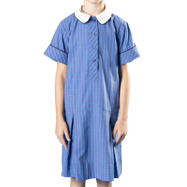 Dress Blue Check Junior Size 6