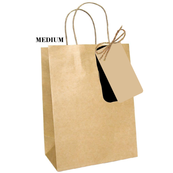 Paper Gift Bag 1pc - Med - 20x25x11cm