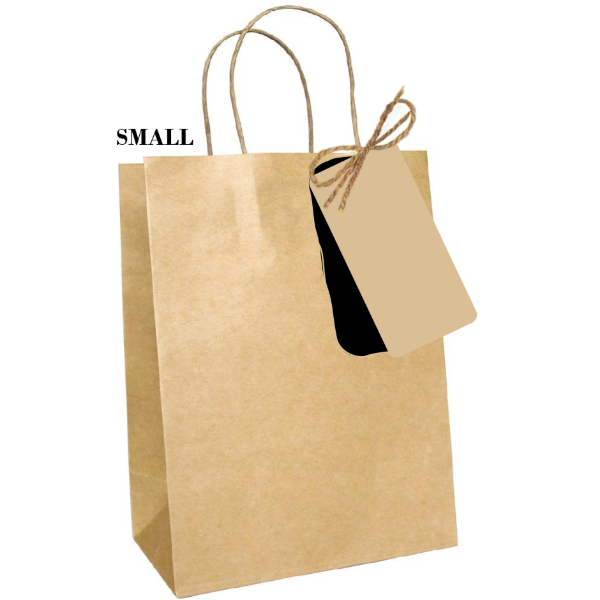 Paper Gift Bag 1pc - Sml 15x20x9cm