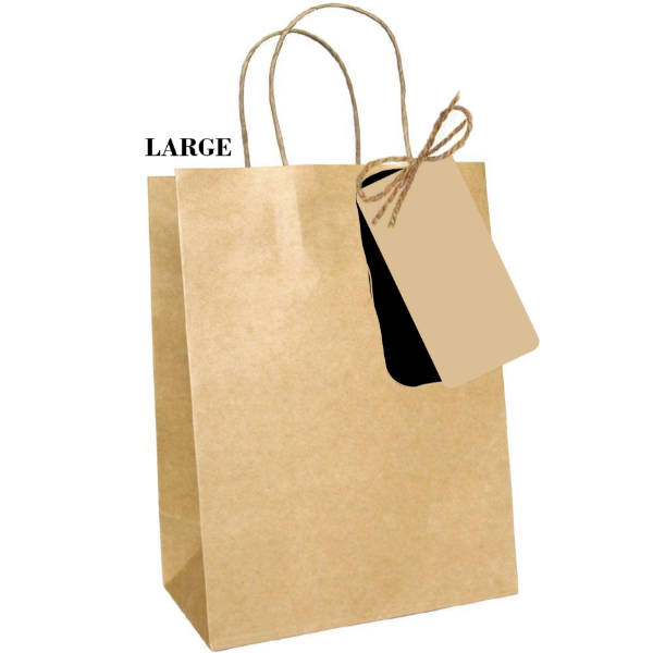 Paper Gift Bag 1pc - Lge 25x35x10cm