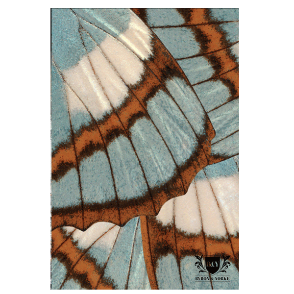 Byron & Yorke Microfibre Tea Towel - Butterfly Wings